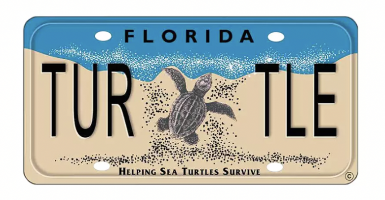 Helping Sea Turtles Survive License Plate